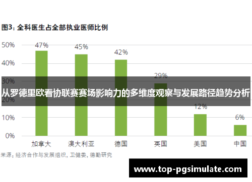 从罗德里欧看协联赛赛场影响力的多维度观察与发展路径趋势分析