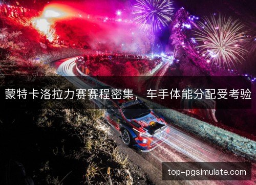 蒙特卡洛拉力赛赛程密集，车手体能分配受考验