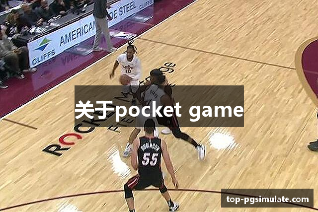 关于pocket game